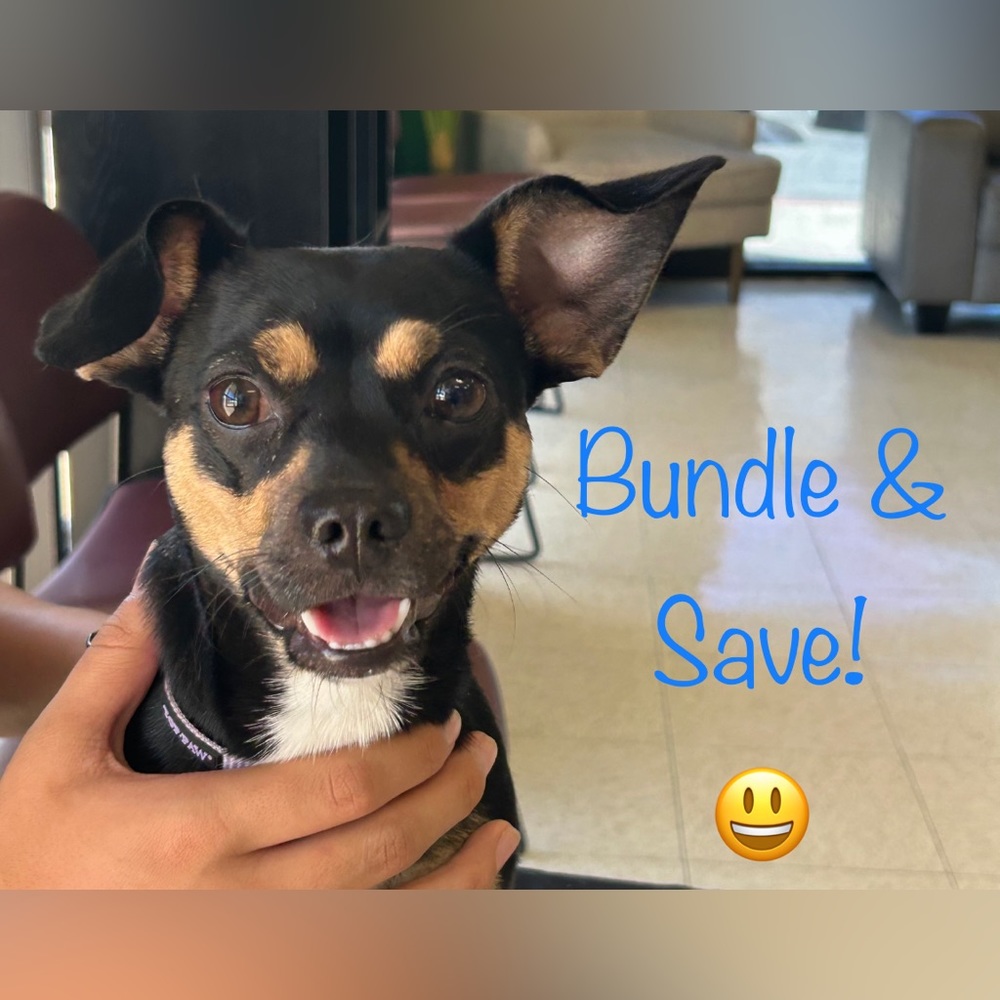 Bundle and Save!